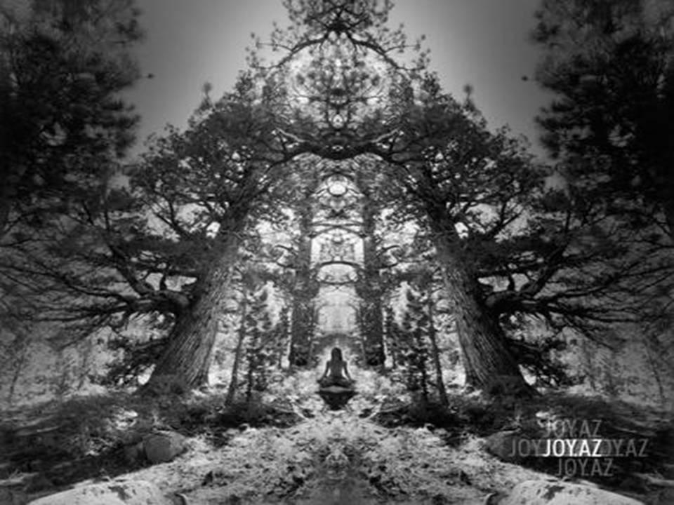 Презентація на тему «Jerry Uelsmann» - Слайд #12 Презентація на тему «Jerry Uelsmann» - Слайд #12