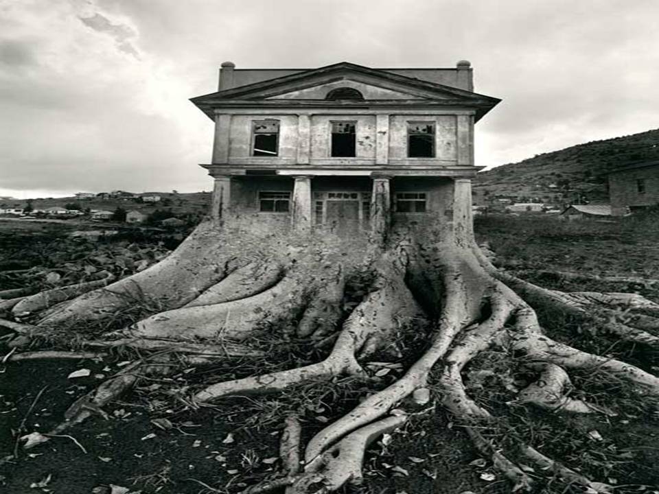 Презентація на тему «Jerry Uelsmann» - Слайд #7 Презентація на тему «Jerry Uelsmann» - Слайд #7
