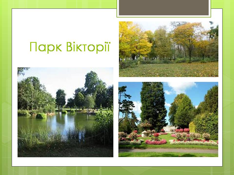 Презентація на тему «Паркова культура» (варіант 14) - Слайд #11 Презентація на тему «Паркова культура» (варіант 14) - Слайд #11