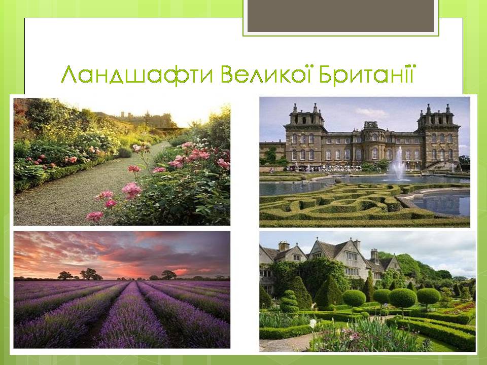 Презентація на тему «Паркова культура» (варіант 14) - Слайд #12 Презентація на тему «Паркова культура» (варіант 14) - Слайд #12