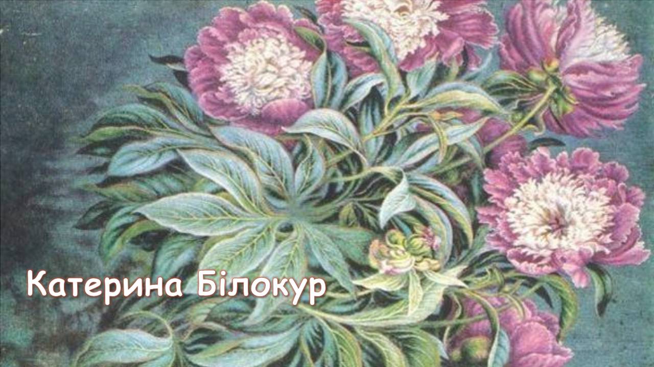 Презентація на тему «Катерина Білокур» - Слайд #1 Презентація на тему «Катерина Білокур» - Слайд #1