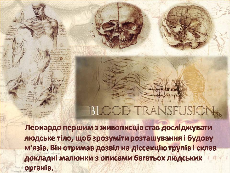 Презентація на тему «Леонардо Да Вінчі» (варіант 30) - Слайд #6 Презентація на тему «Леонардо Да Вінчі» (варіант 30) - Слайд #6