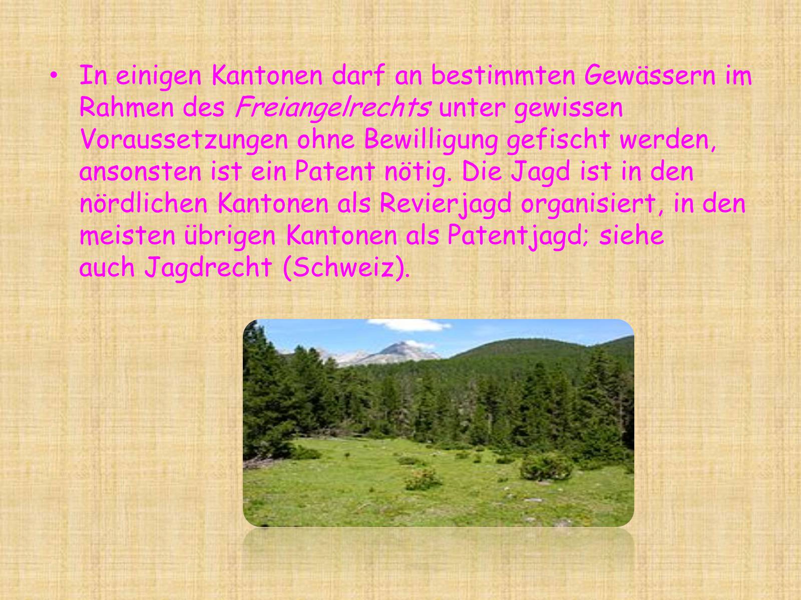 Презентація на тему «Schweiz» - Слайд #8 Презентація на тему «Schweiz» - Слайд #8