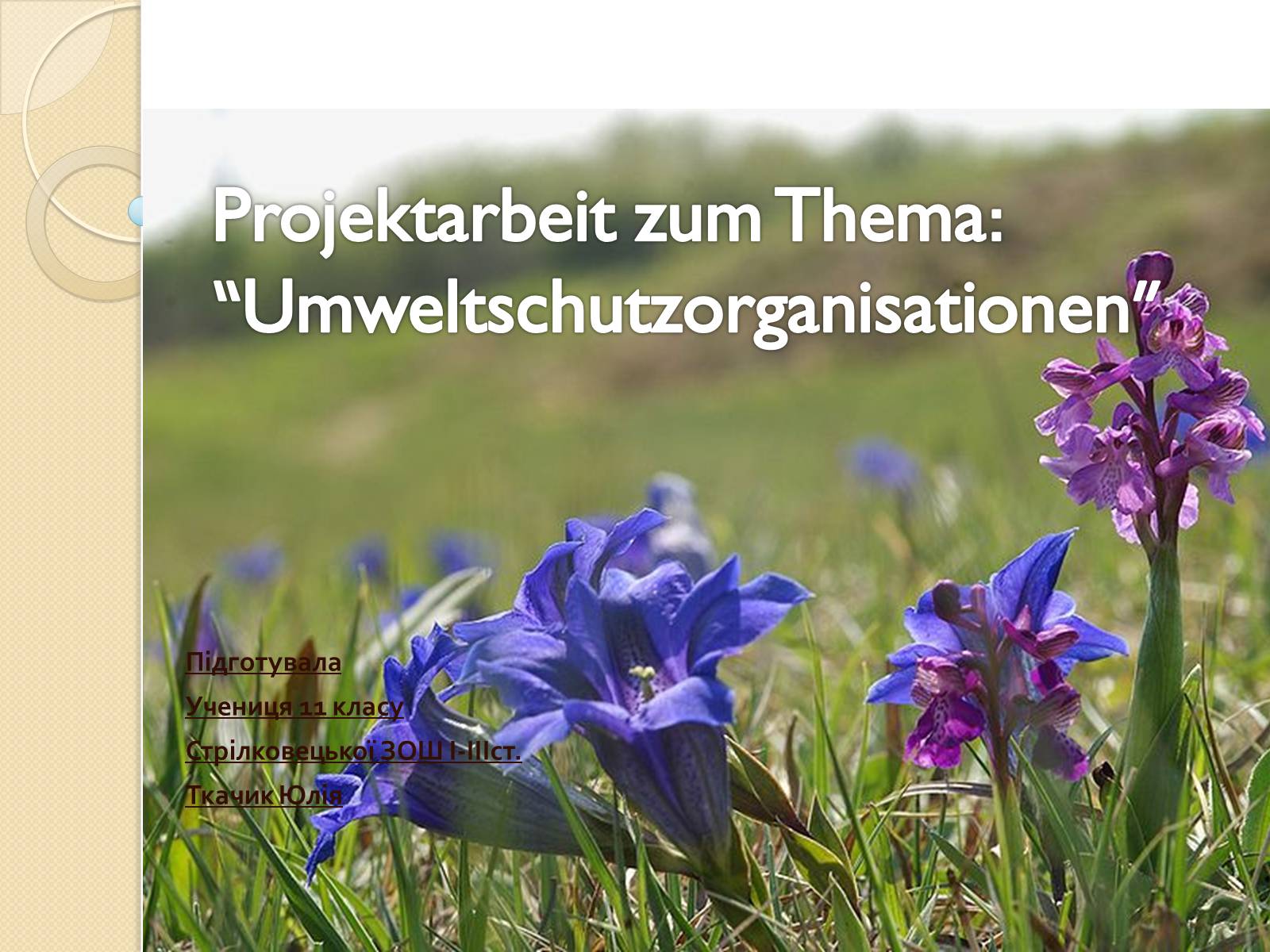 Презентація на тему «Umweltschutzorganisationen» - Слайд #1 Презентація на тему «Umweltschutzorganisationen» - Слайд #1
