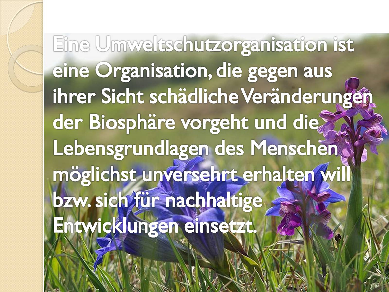 Презентація на тему «Umweltschutzorganisationen» - Слайд #2 Презентація на тему «Umweltschutzorganisationen» - Слайд #2