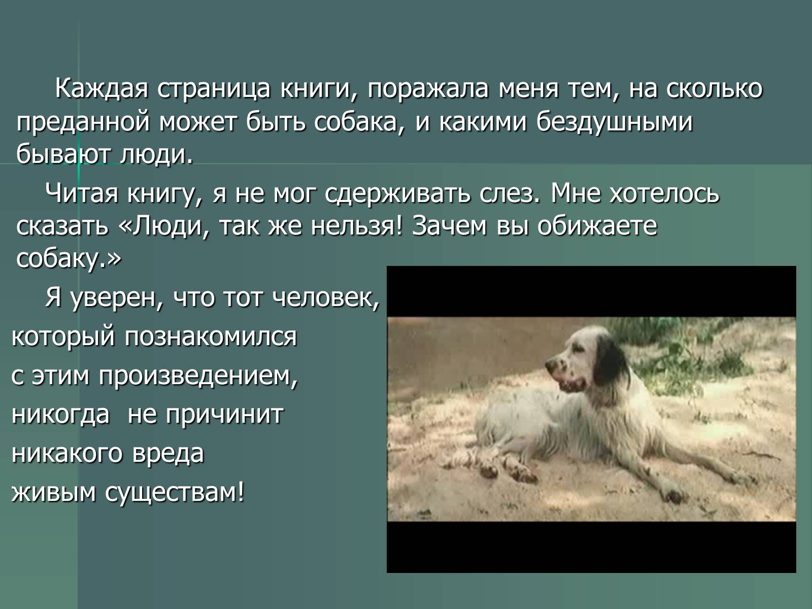 Презентація на тему «Г.Н. Троепольский. Белый Бим Чёрное Ухо» - Слайд #13 Презентація на тему «Г.Н. Троепольский. Белый Бим Чёрное Ухо» - Слайд #13