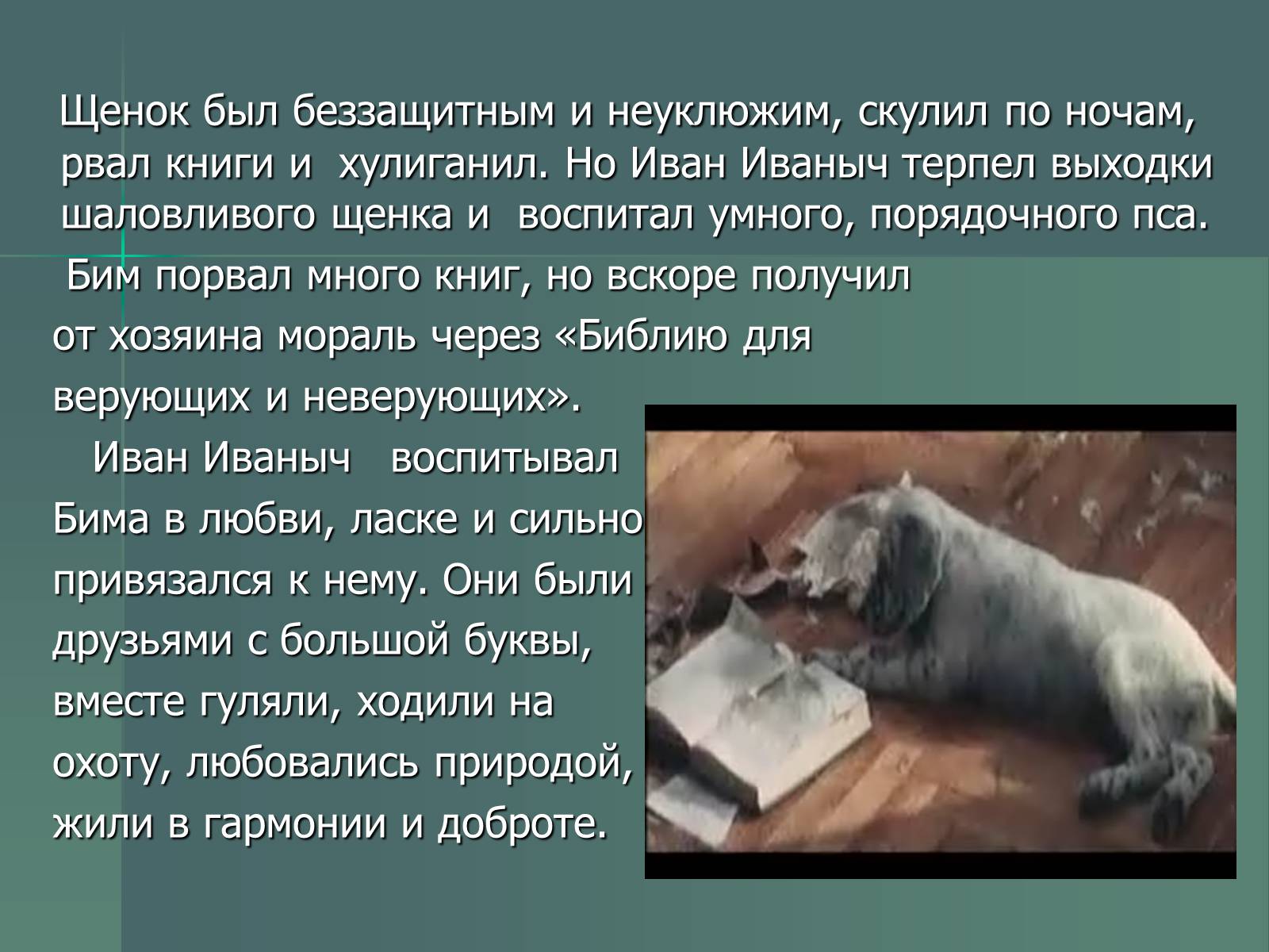 Презентація на тему «Г.Н. Троепольский. Белый Бим Чёрное Ухо» - Слайд #4 Презентація на тему «Г.Н. Троепольский. Белый Бим Чёрное Ухо» - Слайд #4