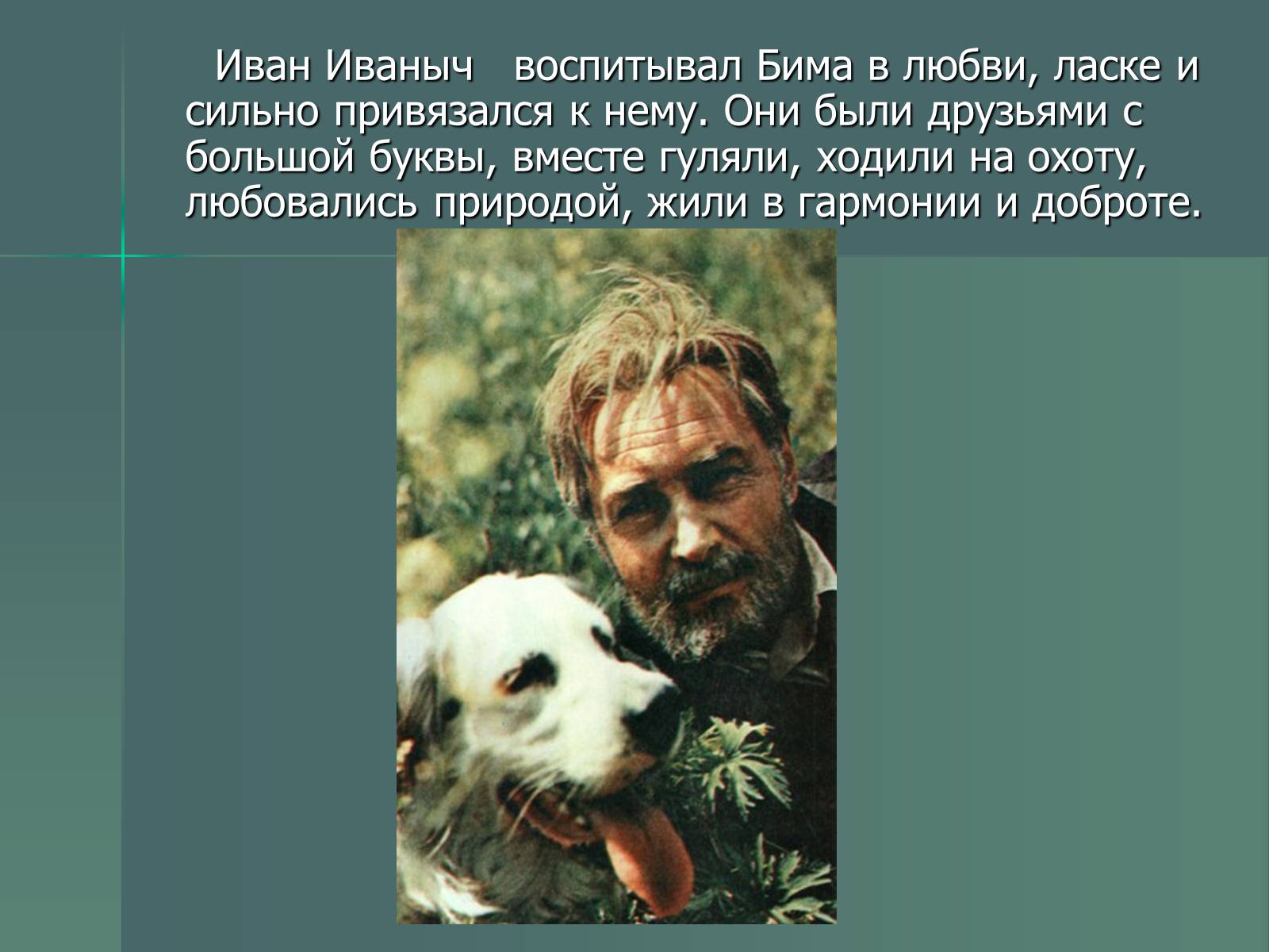 Презентація на тему «Г.Н. Троепольский. Белый Бим Чёрное Ухо» - Слайд #5 Презентація на тему «Г.Н. Троепольский. Белый Бим Чёрное Ухо» - Слайд #5