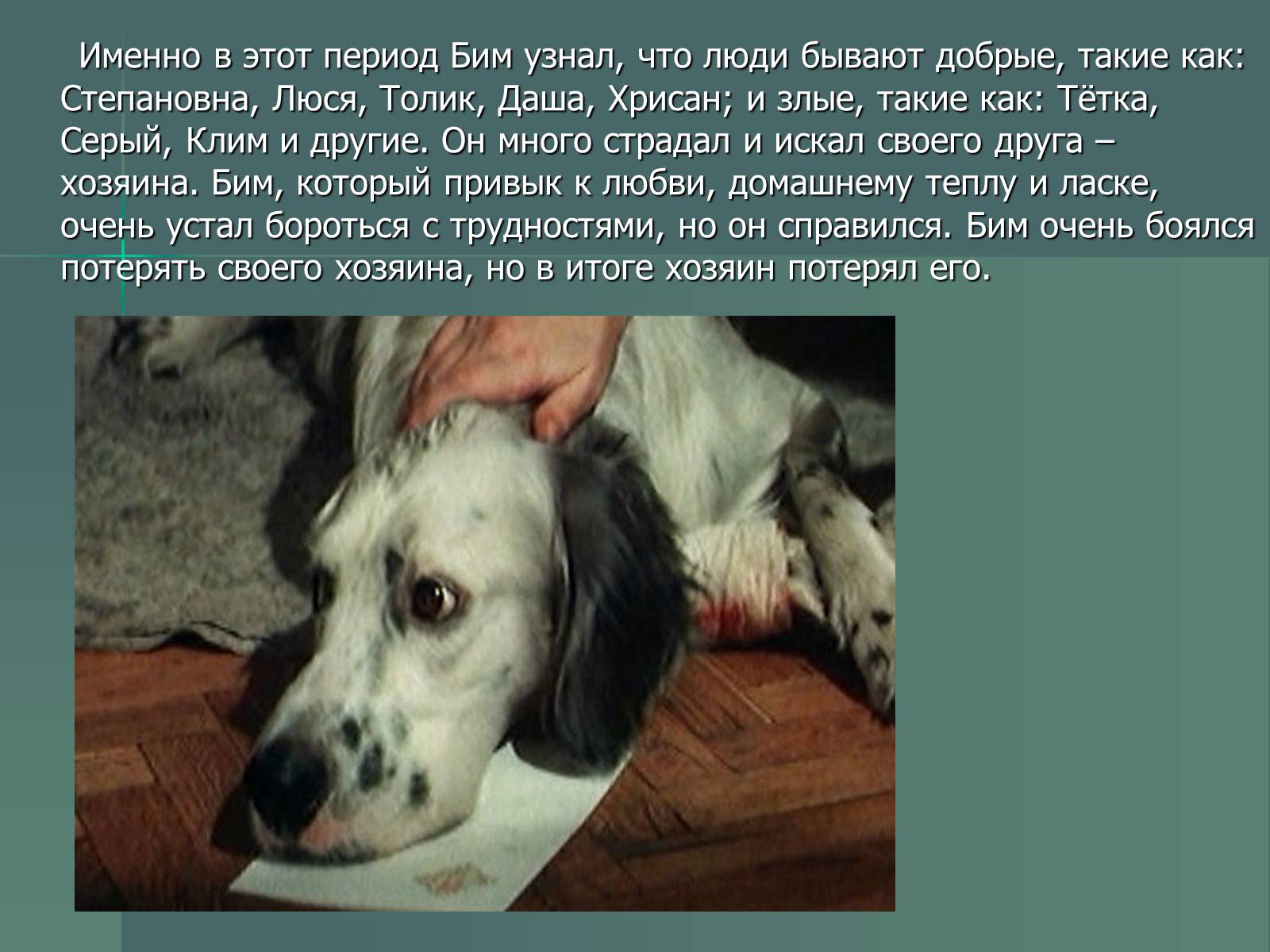 Презентація на тему «Г.Н. Троепольский. Белый Бим Чёрное Ухо» - Слайд #8 Презентація на тему «Г.Н. Троепольский. Белый Бим Чёрное Ухо» - Слайд #8