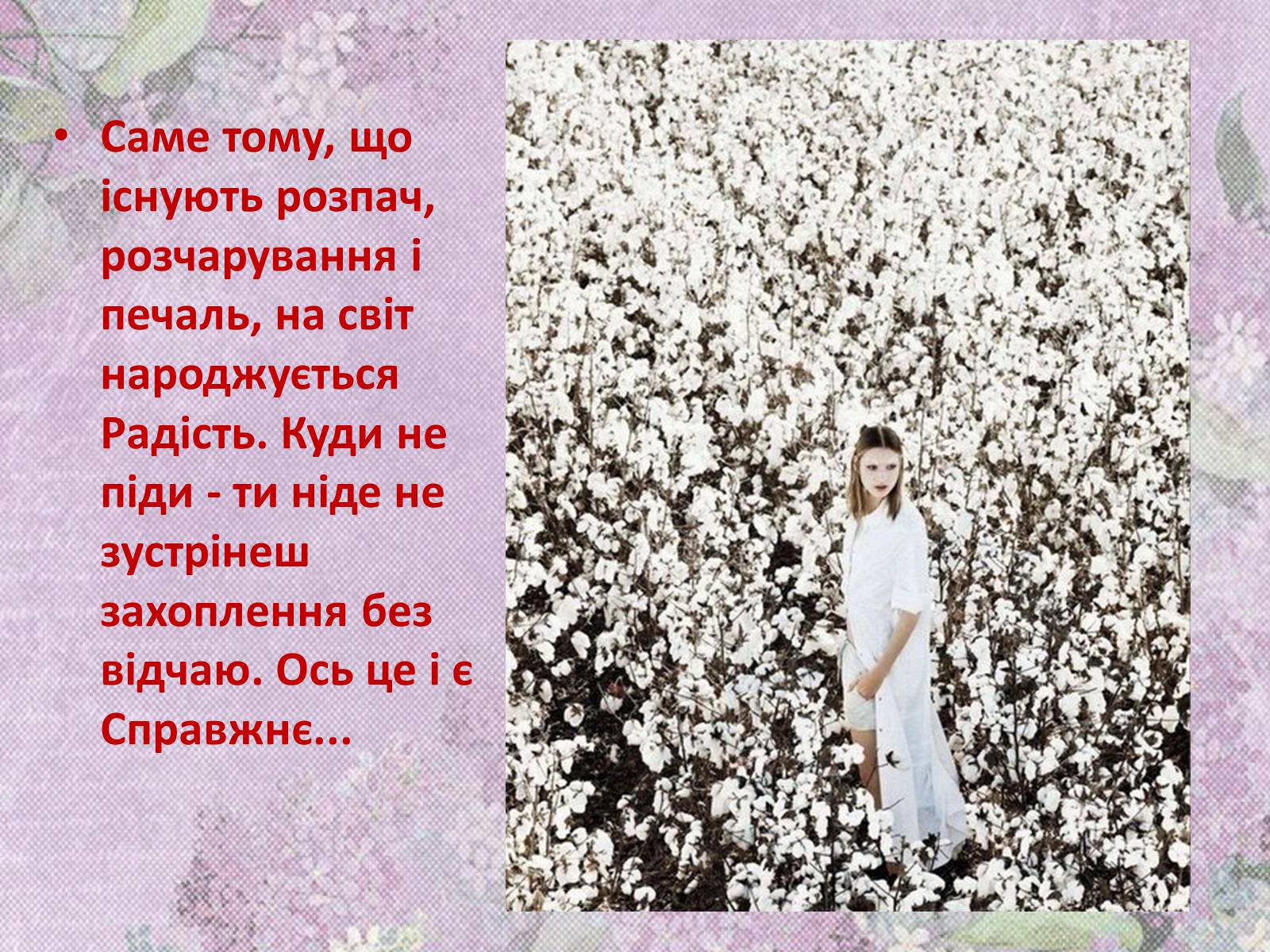 Презентація на тему «Харукі Муракамі» (варіант 1) - Слайд #26 Презентація на тему «Харукі Муракамі» (варіант 1) - Слайд #26