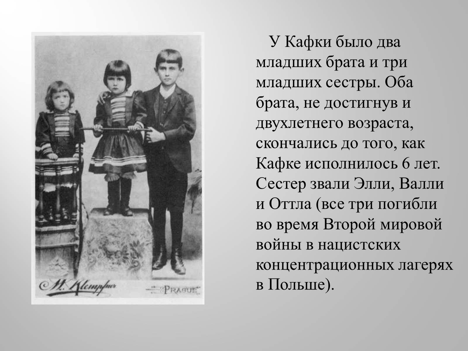 Презентація на тему «Франц Кафка» (варіант 4) - Слайд #6 Презентація на тему «Франц Кафка» (варіант 4) - Слайд #6