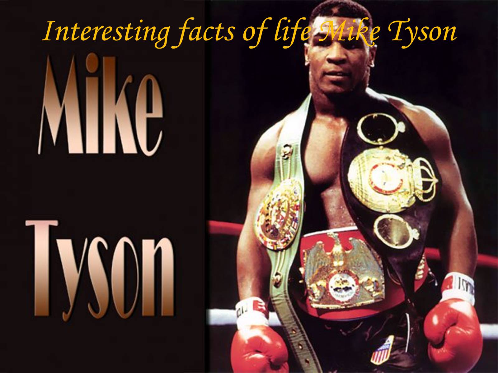 Презентація на тему «Mike Tyson» - Слайд #3 Презентація на тему «Mike Tyson» - Слайд #3