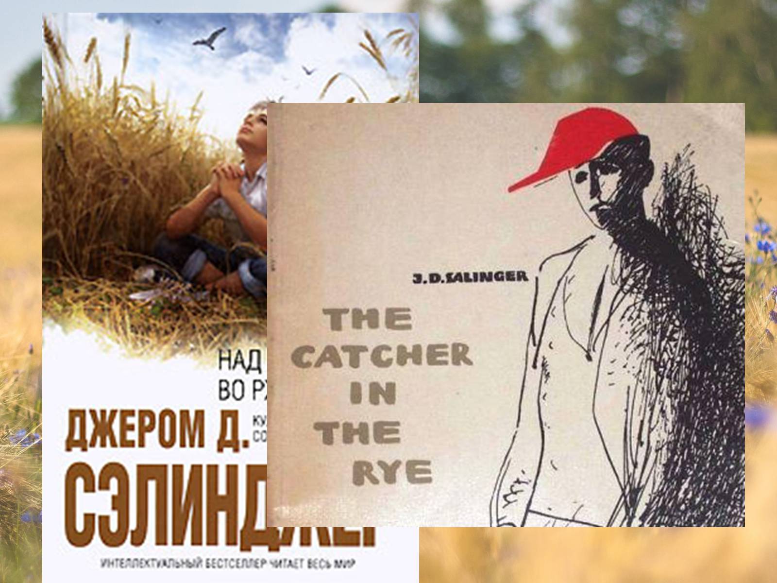 Презентація на тему «Джером Девид Селинджер и его творчество» - Слайд #10 Презентація на тему «Джером Девид Селинджер и его творчество» - Слайд #10