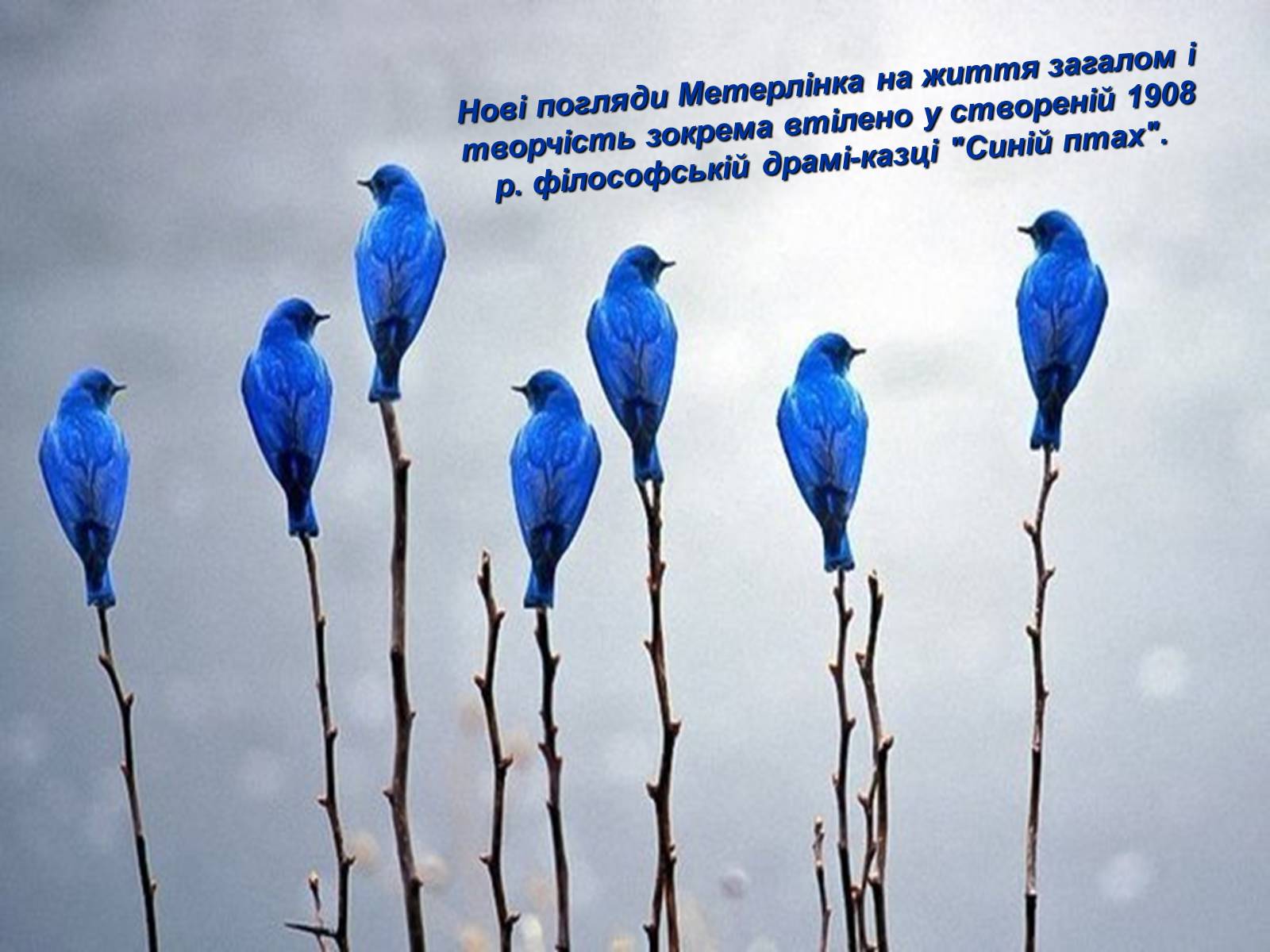 Презентація на тему «Моріса Метерлінка» - Слайд #19 Презентація на тему «Моріса Метерлінка» - Слайд #19