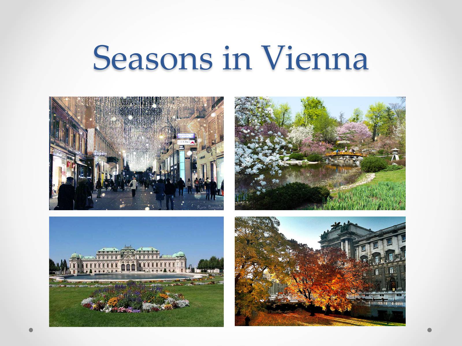 Презентація на тему «Vienna» - Слайд #15 Презентація на тему «Vienna» - Слайд #15