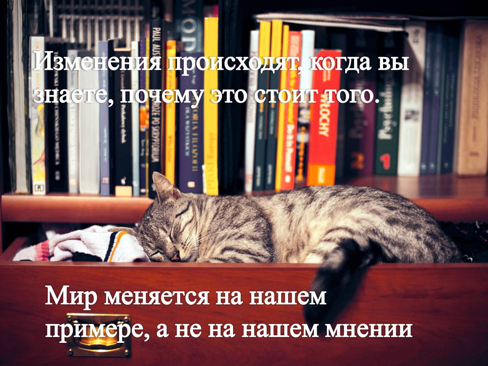 Презентація на тему «Пауло Коэльо» (варіант 1) - Слайд #10 Презентація на тему «Пауло Коэльо» (варіант 1) - Слайд #10