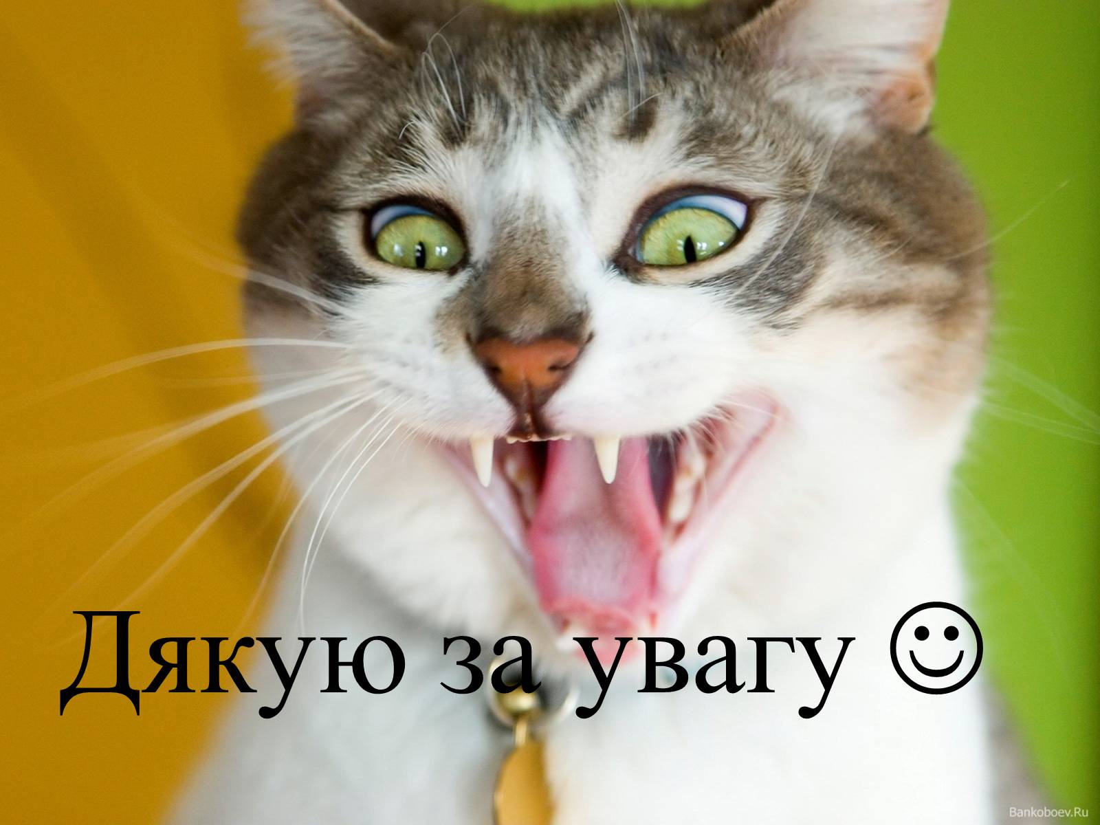 Презентація на тему «Пауло Коэльо» (варіант 1) - Слайд #15 Презентація на тему «Пауло Коэльо» (варіант 1) - Слайд #15