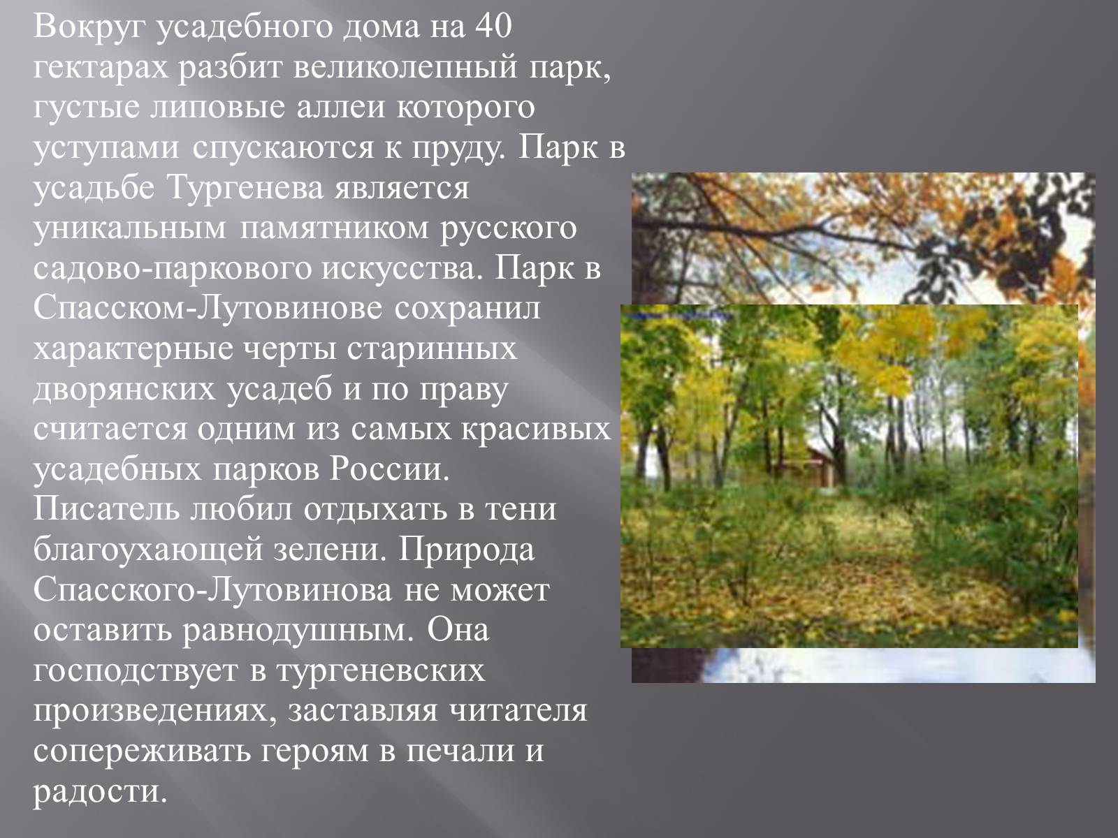 Презентація на тему «Тургенев» - Слайд #15 Презентація на тему «Тургенев» - Слайд #15