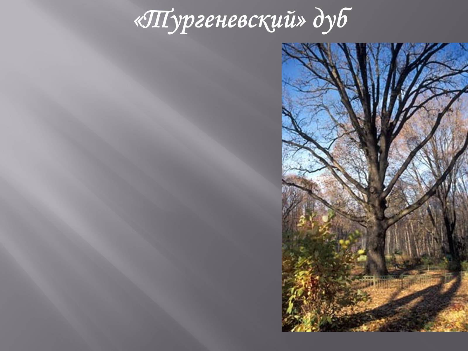 Презентація на тему «Тургенев» - Слайд #16 Презентація на тему «Тургенев» - Слайд #16