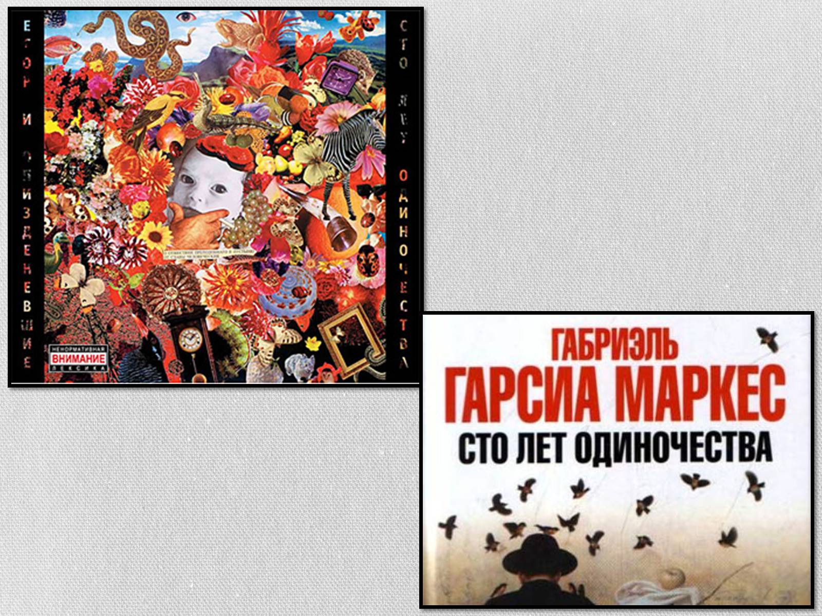 Презентація на тему «Сто років самотності» (варіант 2) - Слайд #11 Презентація на тему «Сто років самотності» (варіант 2) - Слайд #11