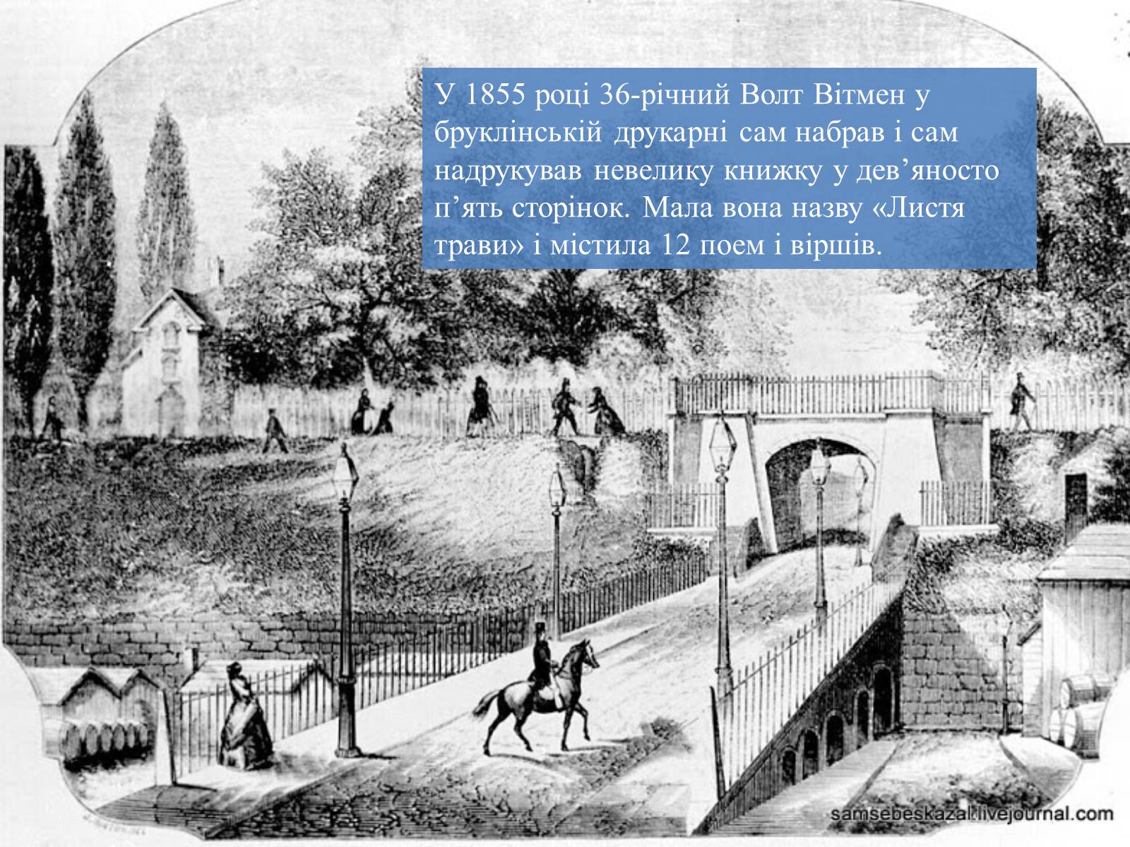 Презентація на тему «Творчий шлях Волта Вітмена» - Слайд #4 Презентація на тему «Творчий шлях Волта Вітмена» - Слайд #4