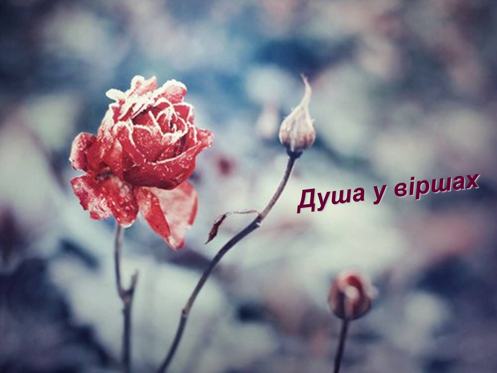 Презентація на тему «Марина Цвєтаєва» (варіант 4) - Слайд #14 Презентація на тему «Марина Цвєтаєва» (варіант 4) - Слайд #14
