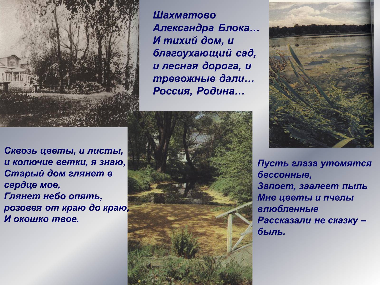 Презентація на тему «Поэты Серебряного века» - Слайд #11 Презентація на тему «Поэты Серебряного века» - Слайд #11