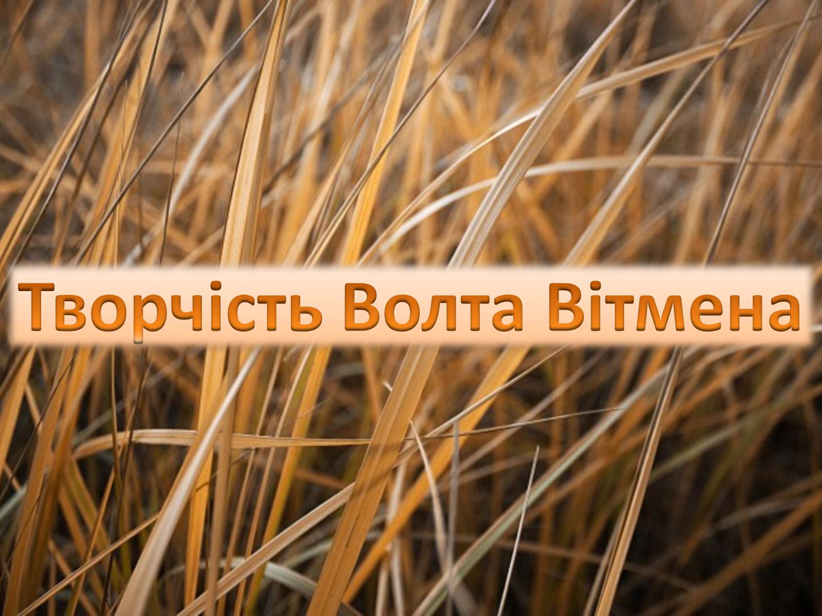 Презентація на тему «Творчість Волта Вітмена» (варіант 2) - Слайд #1 Презентація на тему «Творчість Волта Вітмена» (варіант 2) - Слайд #1