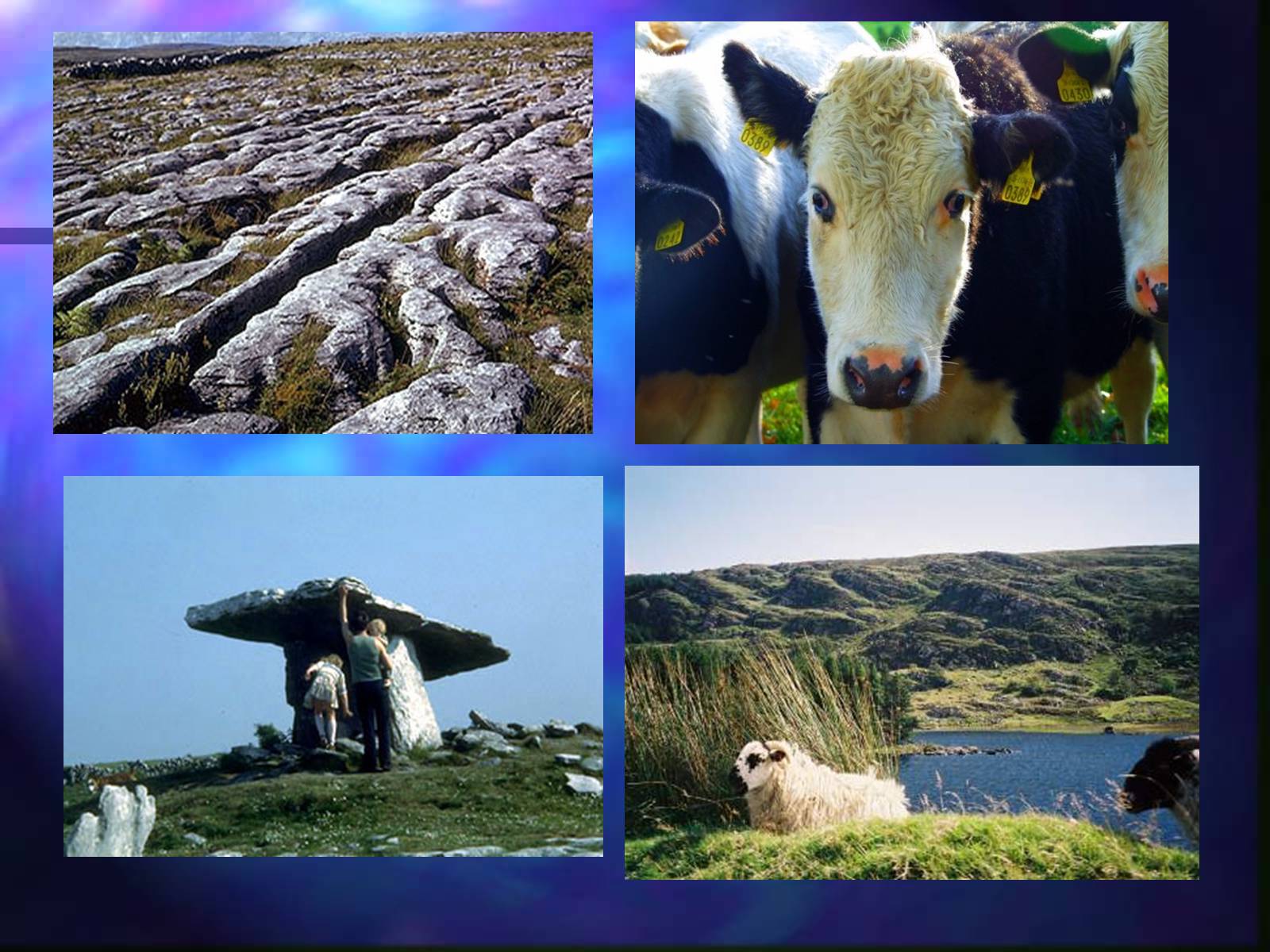 Презентація на тему «Presentation on Ireland» - Слайд #7 Презентація на тему «Presentation on Ireland» - Слайд #7