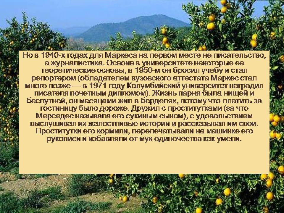 Презентація на тему «Гарсія Маркес» - Слайд #13 Презентація на тему «Гарсія Маркес» - Слайд #13