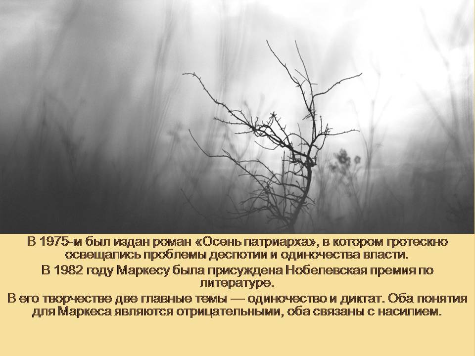 Презентація на тему «Гарсія Маркес» - Слайд #28 Презентація на тему «Гарсія Маркес» - Слайд #28