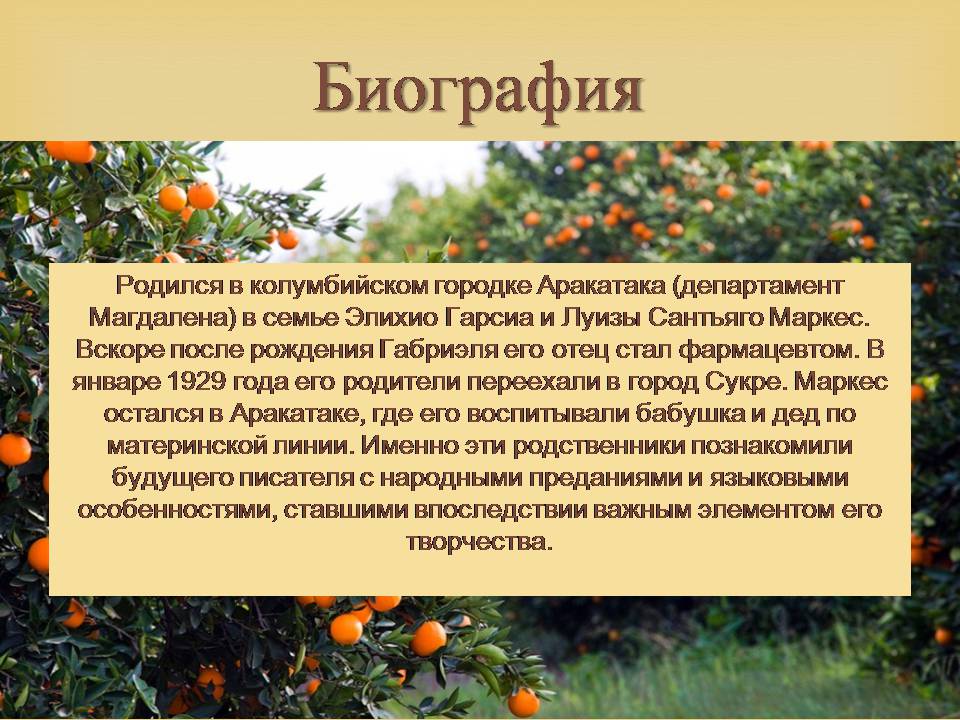 Презентація на тему «Гарсія Маркес» - Слайд #3 Презентація на тему «Гарсія Маркес» - Слайд #3
