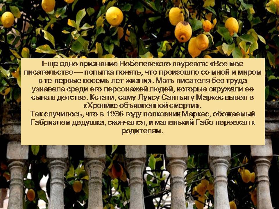 Презентація на тему «Гарсія Маркес» - Слайд #8 Презентація на тему «Гарсія Маркес» - Слайд #8
