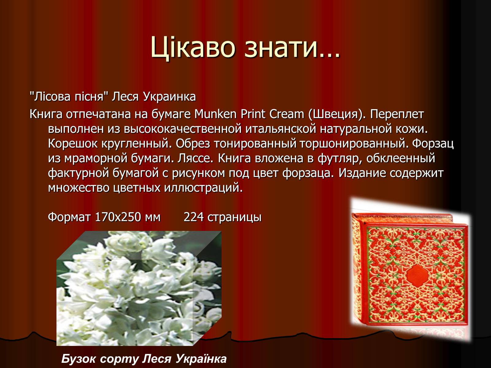 Презентація на тему «Леся Українка» (варіант 11) - Слайд #22 Презентація на тему «Леся Українка» (варіант 11) - Слайд #22