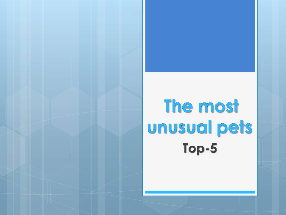 Презентація на тему «The most unusual pets» - Слайд #1 Презентація на тему «The most unusual pets» - Слайд #1