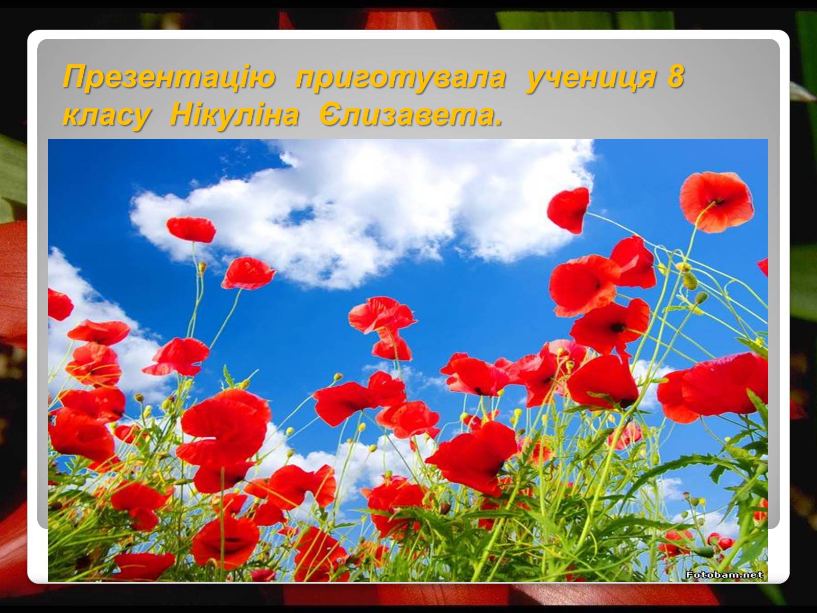 Презентація на тему «Українські історичні пісні» - Слайд #20 Презентація на тему «Українські історичні пісні» - Слайд #20