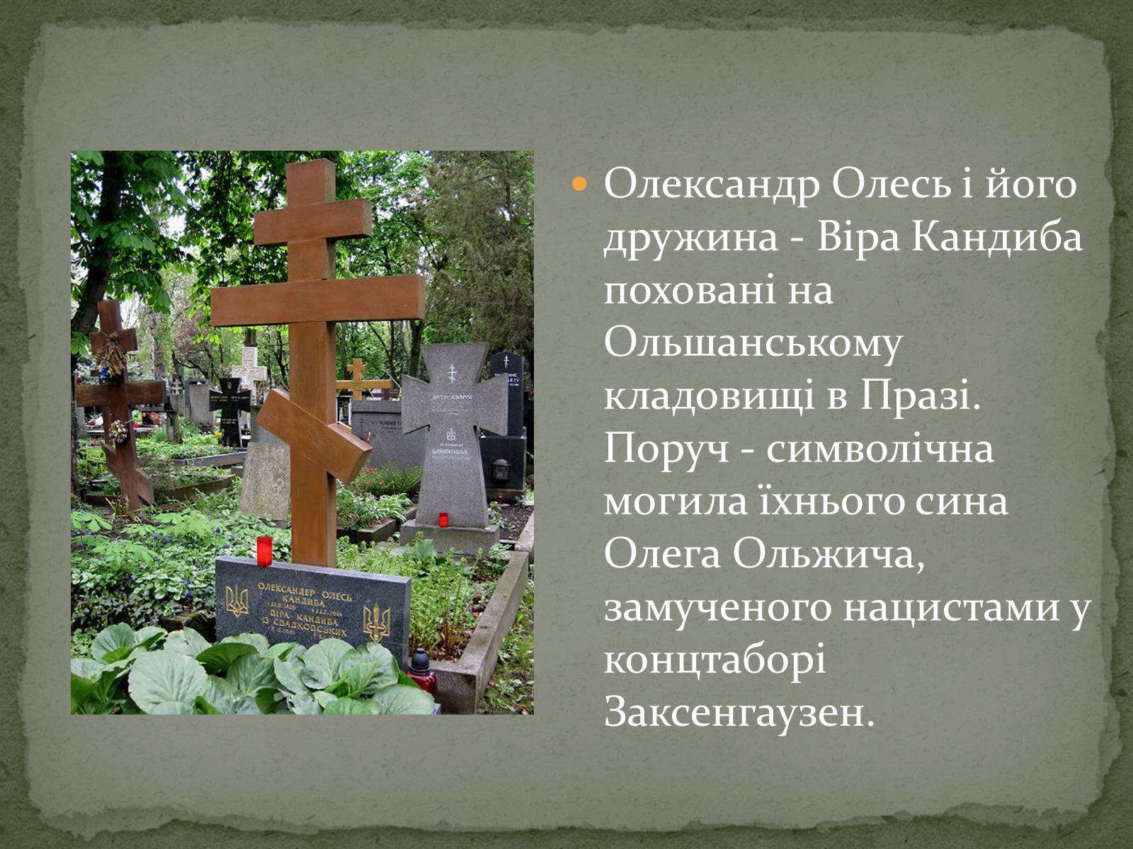 Презентація на тему «Олександр Олесь» (варіант 3) - Слайд #16 Презентація на тему «Олександр Олесь» (варіант 3) - Слайд #16