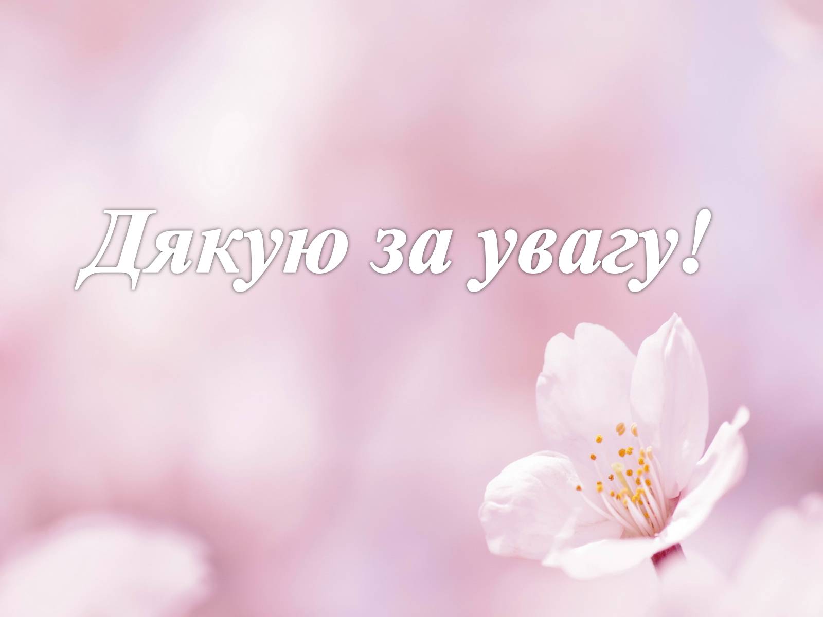 Презентація на тему «Маруся Чурай» (варіант 4) - Слайд #37 Презентація на тему «Маруся Чурай» (варіант 4) - Слайд #37
