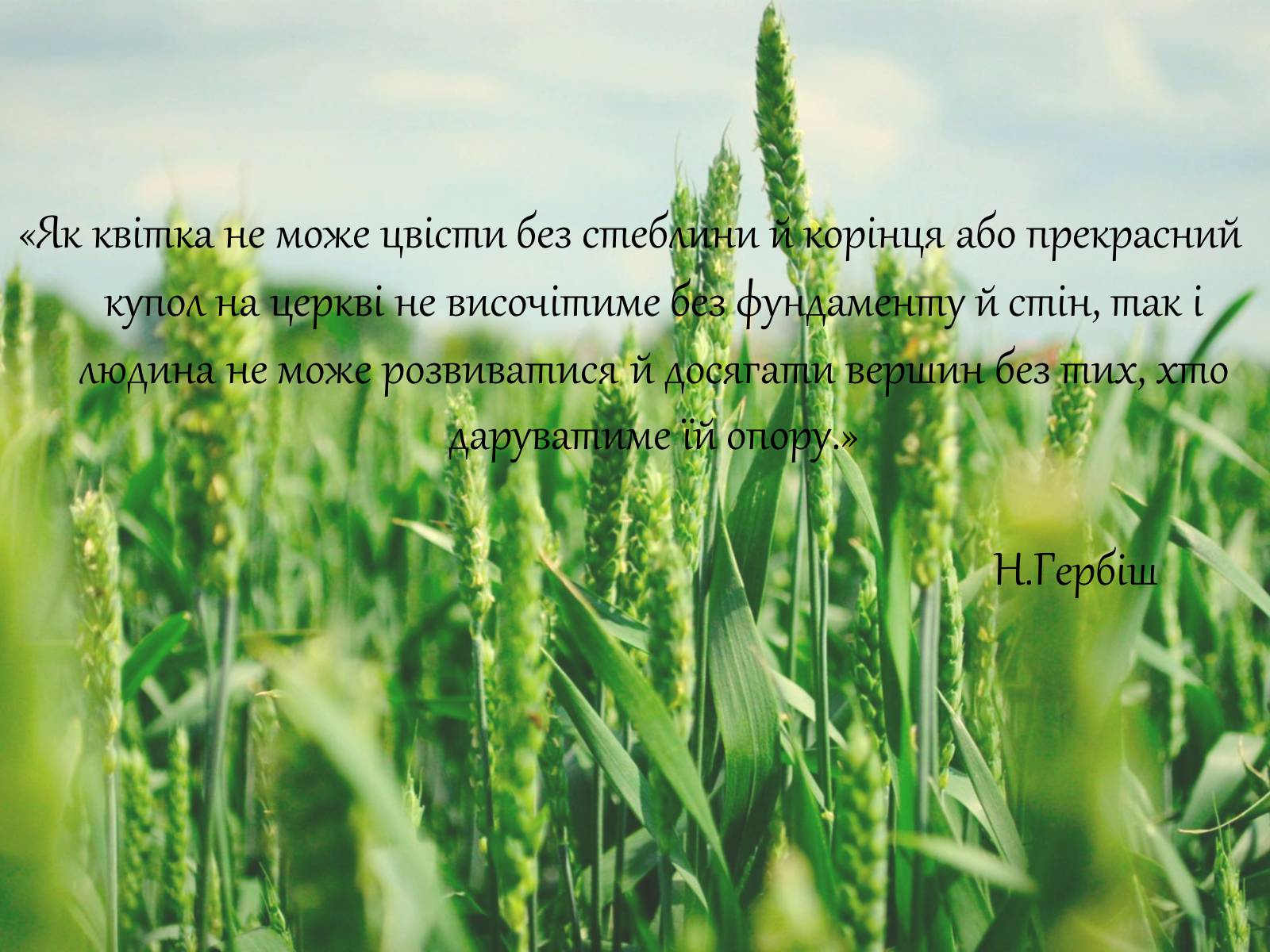 Презентація на тему «Сучасні українські письменники. Сучасна українська література» - Слайд #11 Презентація на тему «Сучасні українські письменники. Сучасна українська література» - Слайд #11