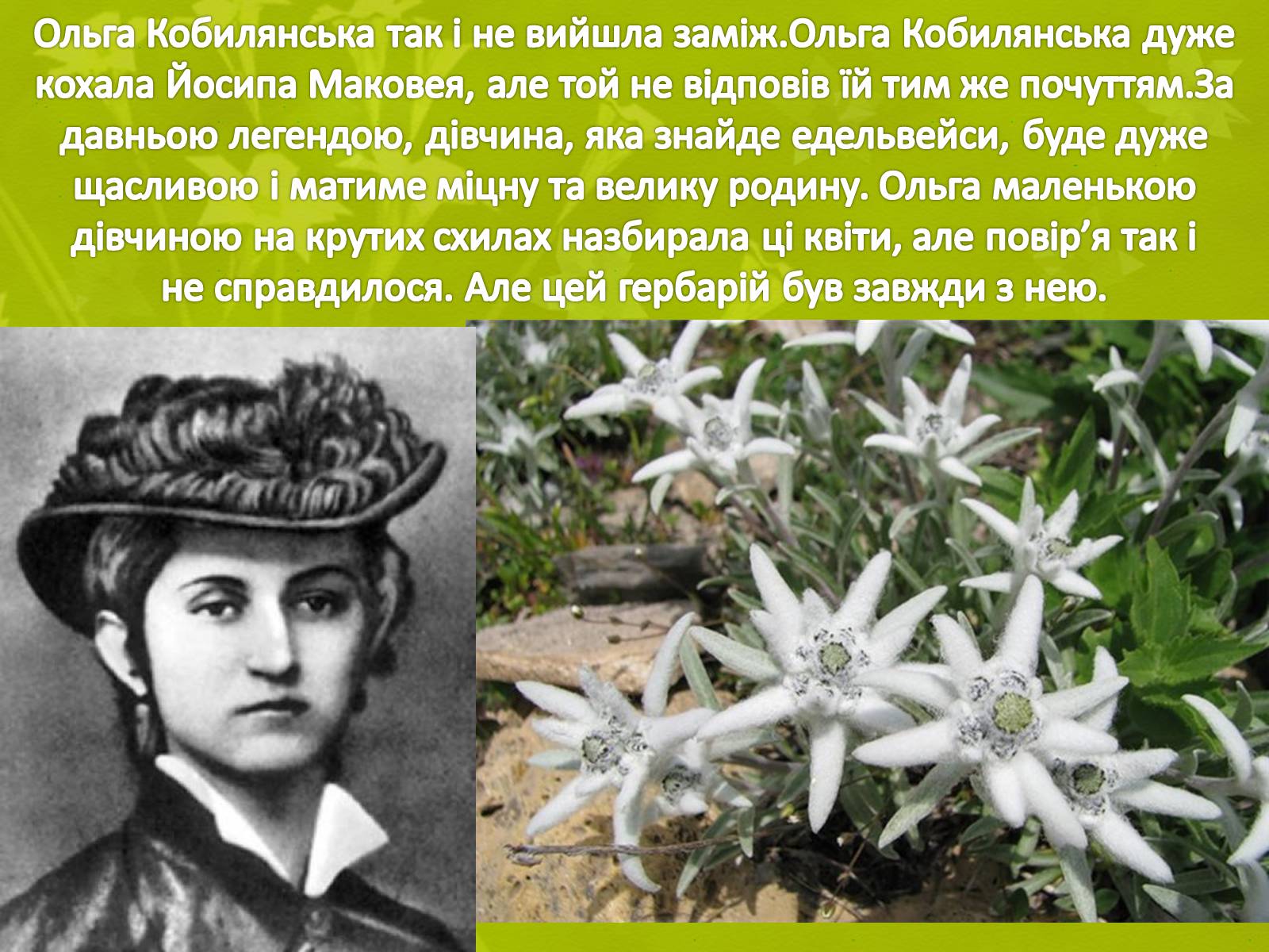 Презентація на тему «Життя і творчість Ольги Кобилянської» (варіант 2) - Слайд #16 Презентація на тему «Життя і творчість Ольги Кобилянської» (варіант 2) - Слайд #16