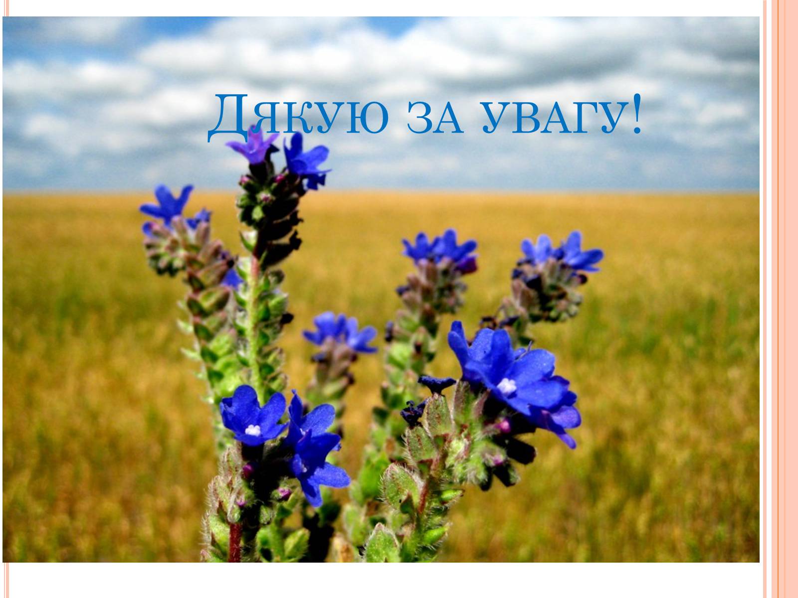 Презентація на тему «Всеволод Зіновійович Нестайко» - Слайд #6