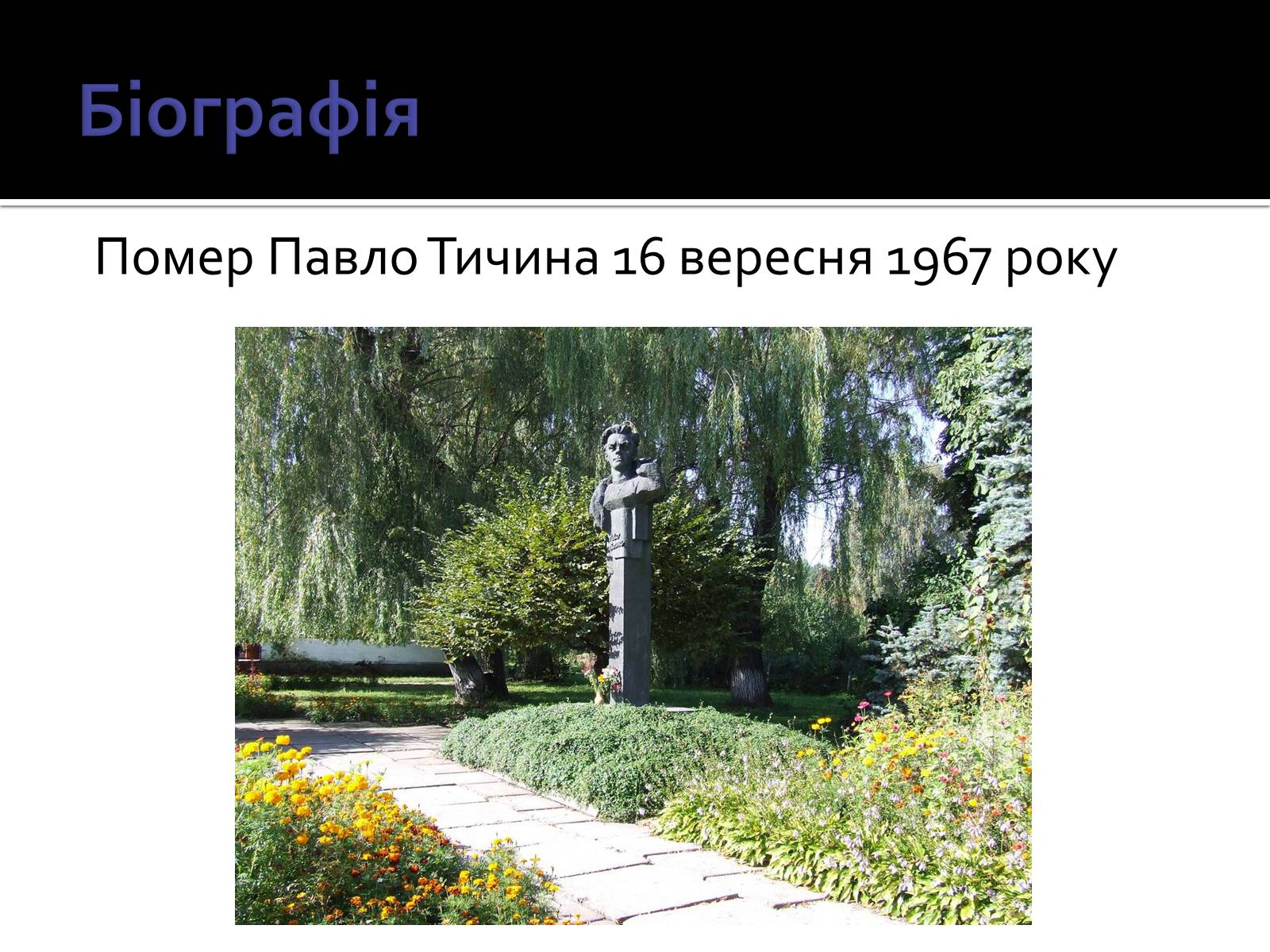 Презентація на тему «Павло Тичина» (варіант 3) - Слайд #13 Презентація на тему «Павло Тичина» (варіант 3) - Слайд #13