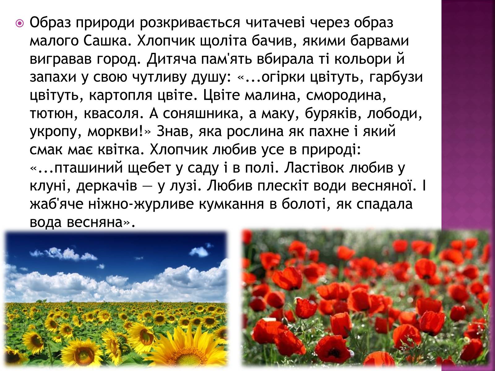 Презентація на тему «Зачарована Десна» (варіант 1) - Слайд #10 Презентація на тему «Зачарована Десна» (варіант 1) - Слайд #10