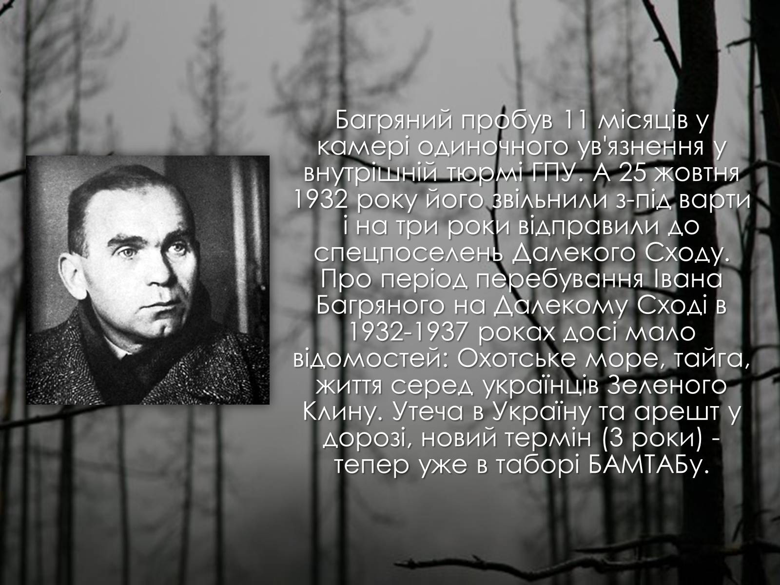 Презентація на тему «Іван Багряний» (варіант 8) - Слайд #13 Презентація на тему «Іван Багряний» (варіант 8) - Слайд #13