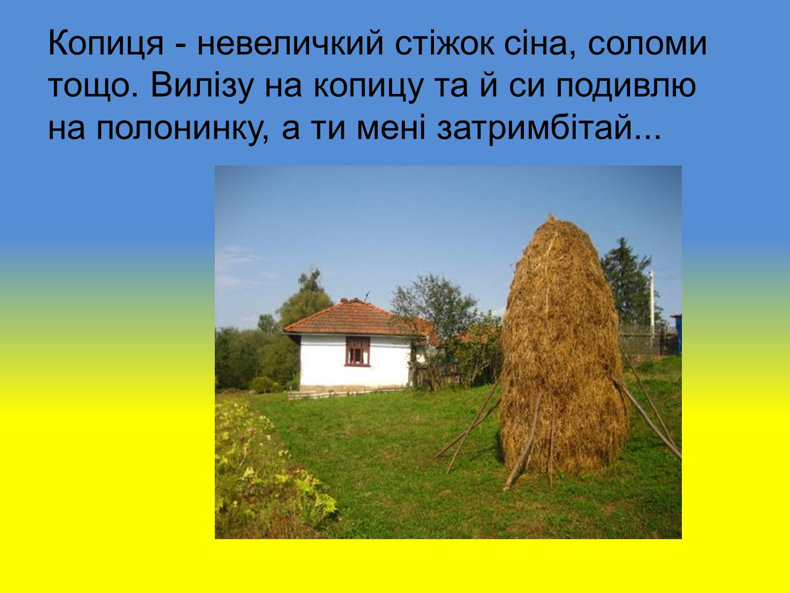 Презентація на тему «Діалектизми у творі “Тіні забутих предків”» - Слайд #20 Презентація на тему «Діалектизми у творі “Тіні забутих предків”» - Слайд #20