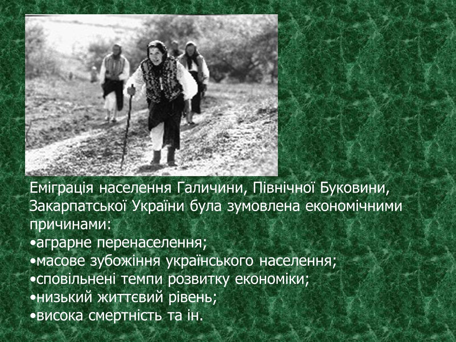 Презентація на тему «Камінний хрест як символ трагічної долі селянина-бідняка» - Слайд #13 Презентація на тему «Камінний хрест як символ трагічної долі селянина-бідняка» - Слайд #13
