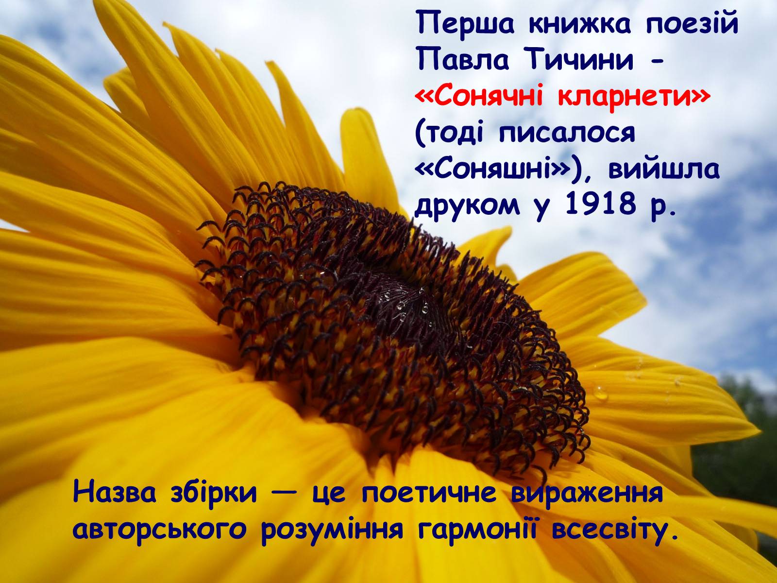 Презентація на тему «Перша книжка поезій Павла Тичини» (варіант 1) - Слайд #1