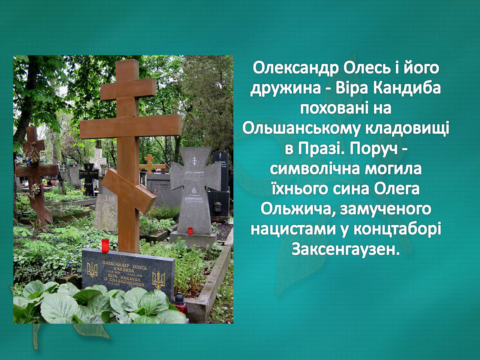 Презентація на тему «Олександр Олесь» (варіант 5) - Слайд #22 Презентація на тему «Олександр Олесь» (варіант 5) - Слайд #22
