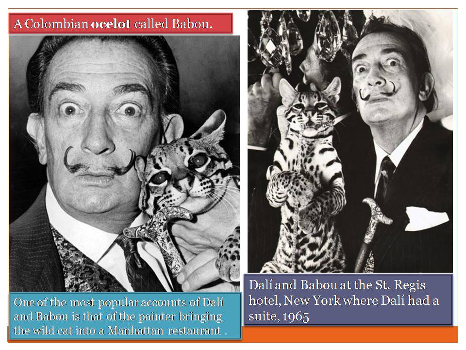 Презентація на тему «Salvador Dali» (варіант 3) - Слайд #5 Презентація на тему «Salvador Dali» (варіант 3) - Слайд #5