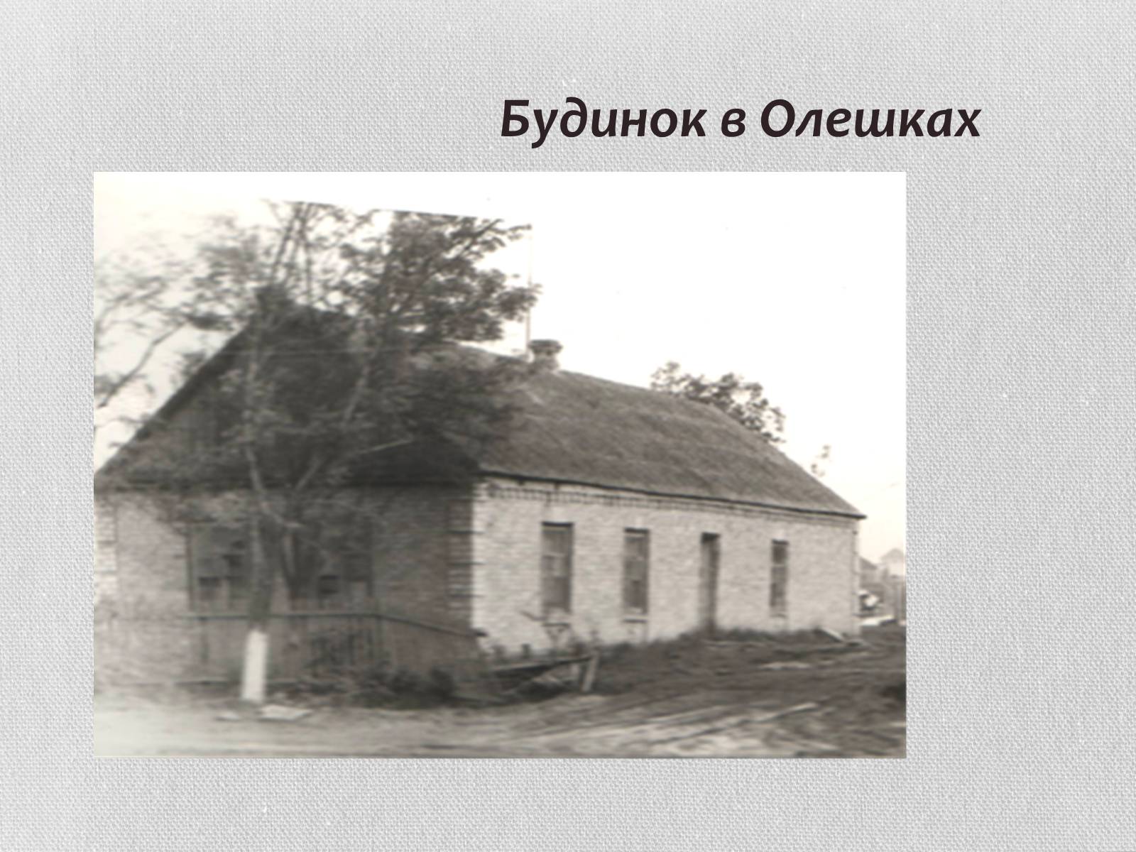Презентація на тему «Микола куліш» (варіант 1) - Слайд #5 Презентація на тему «Микола куліш» (варіант 1) - Слайд #5